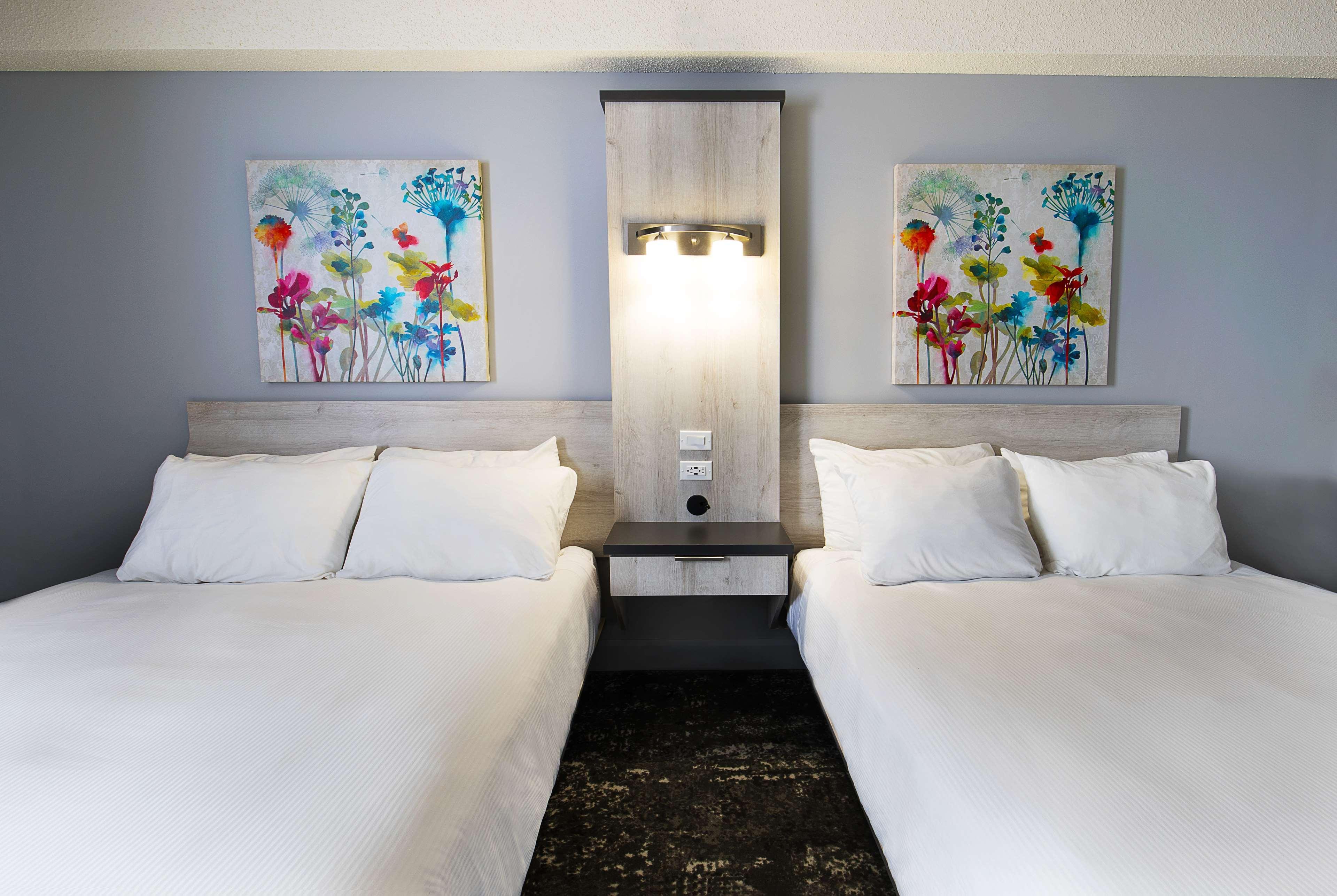 Ramada Encore By Wyndham Sao Paulo 奥萨斯库 外观 照片